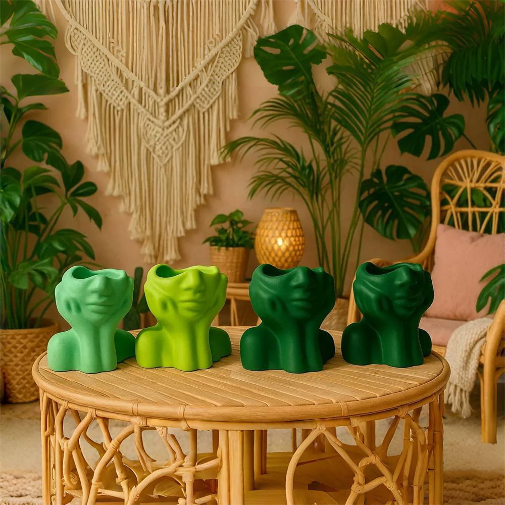 Abstract Face Planter Pot Sili - огляд і ціна Succulent Set