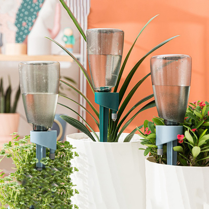 New Automatic Flower Watering  - огляд і ціна Succulent Set