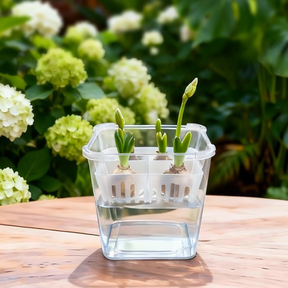 Hydroponic Vase For Tulip Lily - огляд і ціна Plant Pot