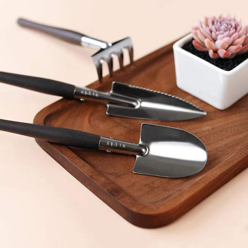 3pcs/set, Garden Tool Set Rake - огляд і ціна Succulent Set