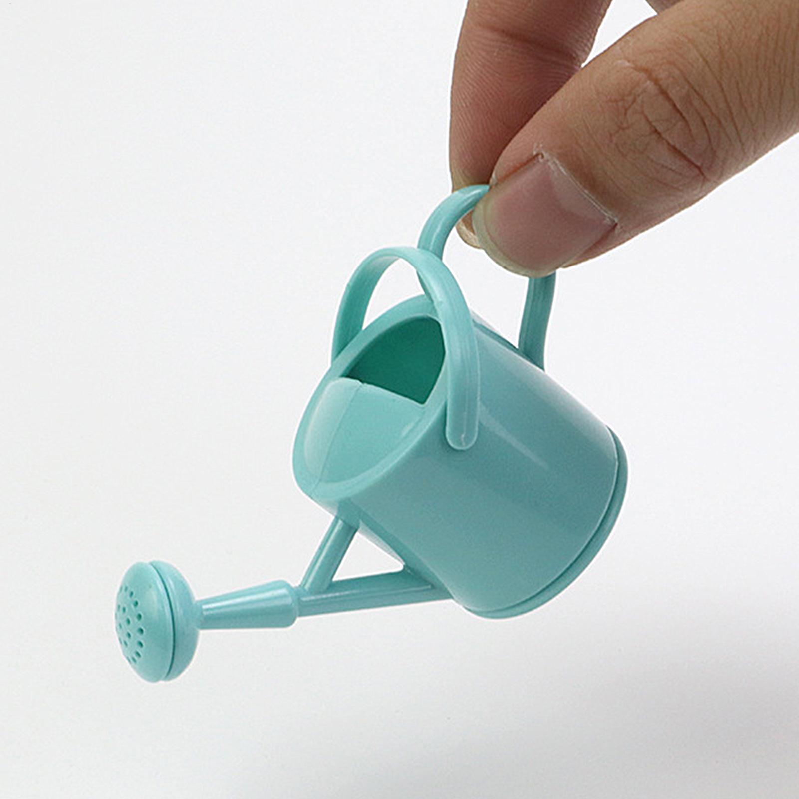 Small Kids Watering Can Flexib - огляд і ціна Succulent Set