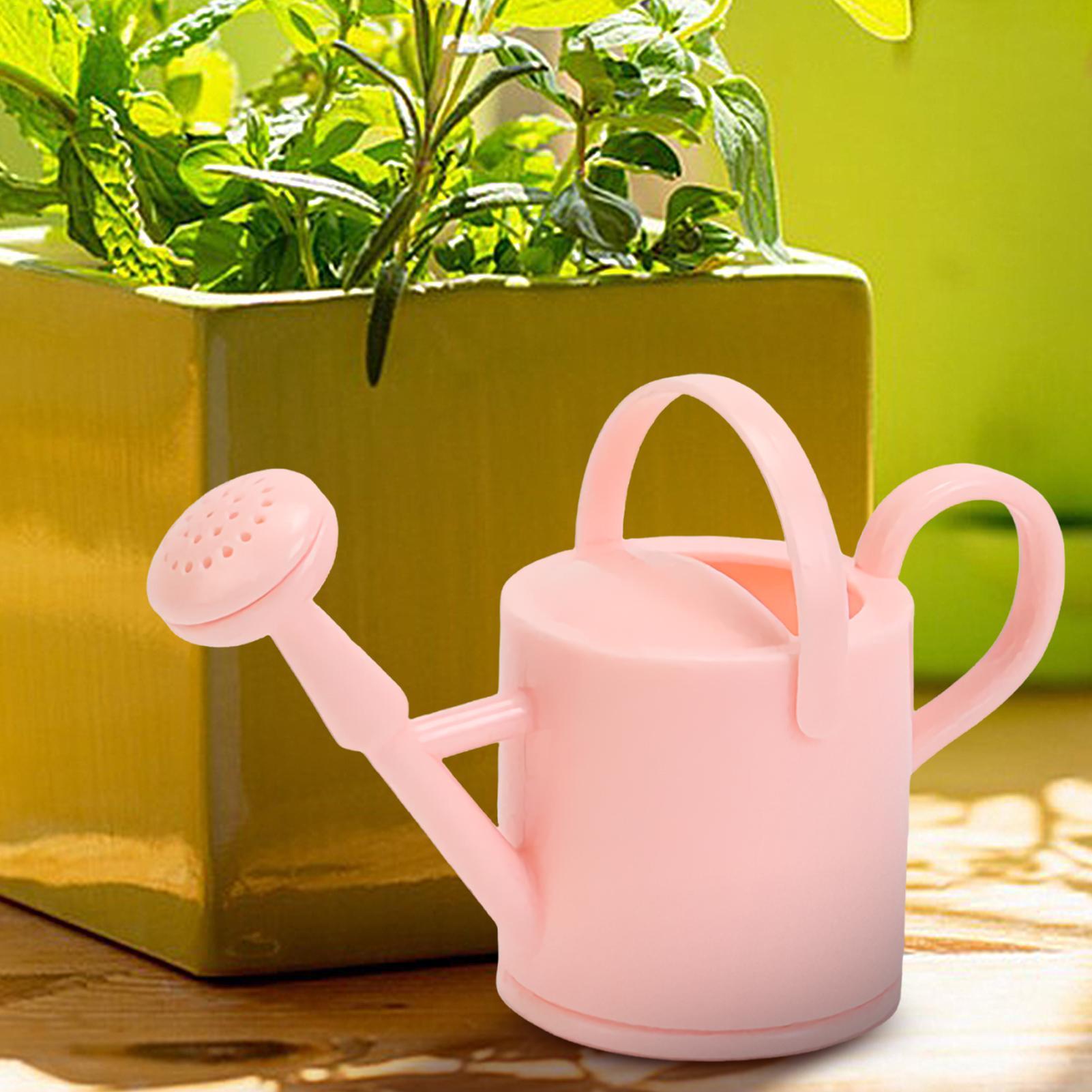 Small Kids Watering Can Flexib - огляд і ціна Succulent Set