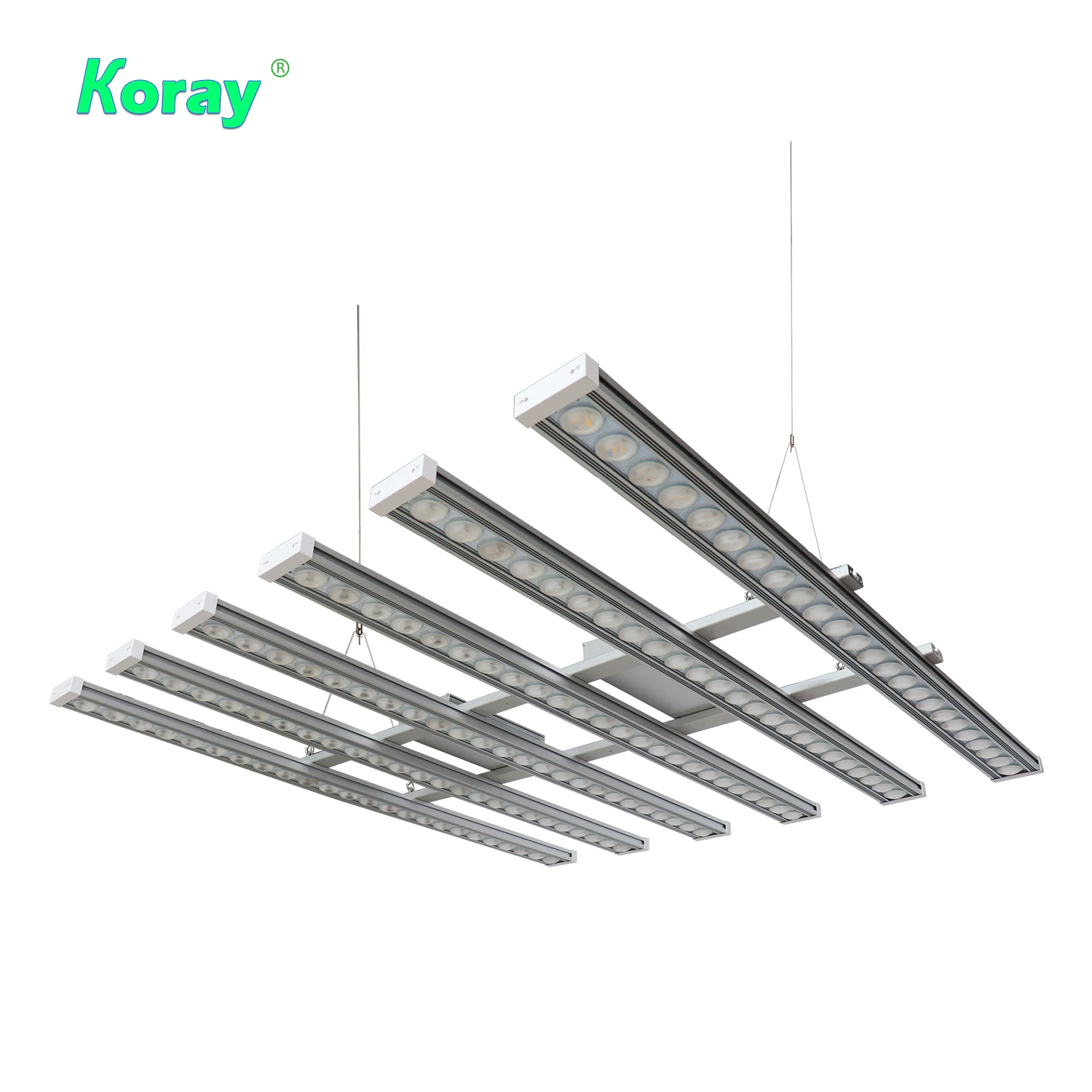 Koray 900W Indoor full spectru - огляд і ціна Indoor Plants