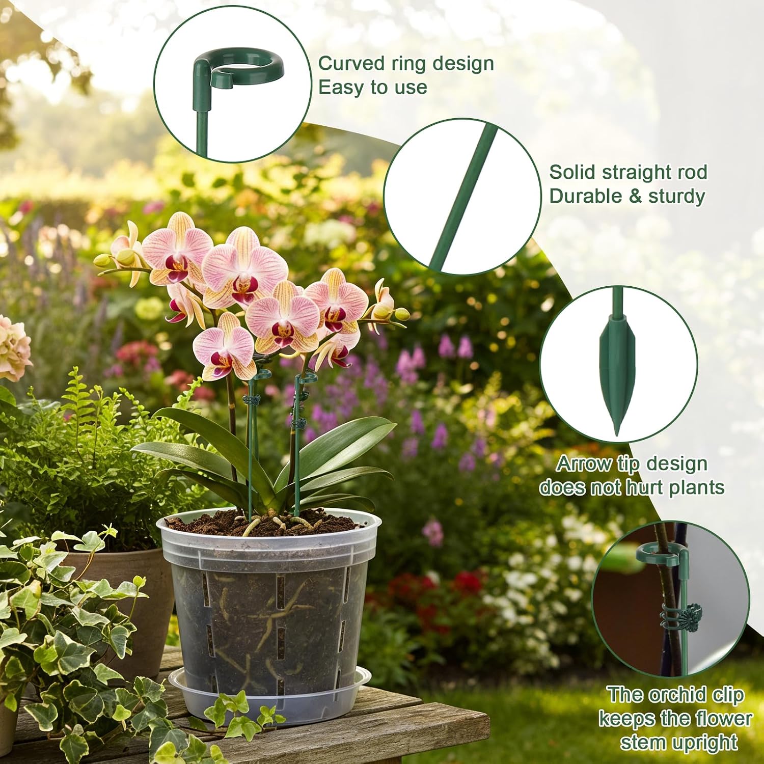 5/10pcs Plant Support Stakes P - огляд і ціна Succulent Set