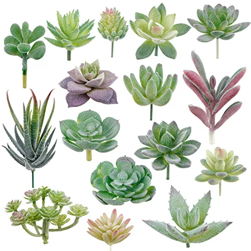 10/20Pcs PVC Succulents Plants - огляд і ціна Snake Plant